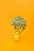 Photo gratuite gros plan d'un brocoli frais sur fond orange