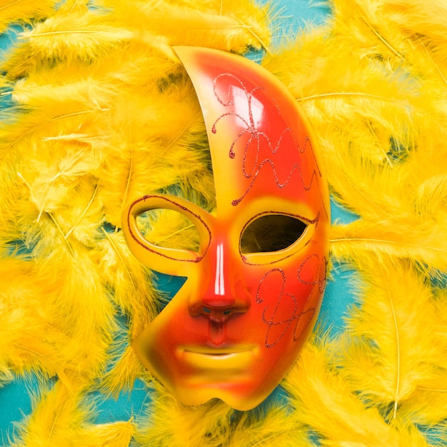 Gros plan, carnaval, masque, plumes