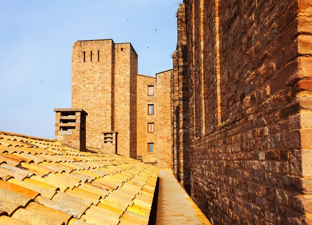 Gros plan de Castle of Cardona