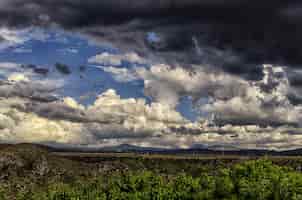 Photo gratuite gros plan d'un champ sous le ciel nuageux