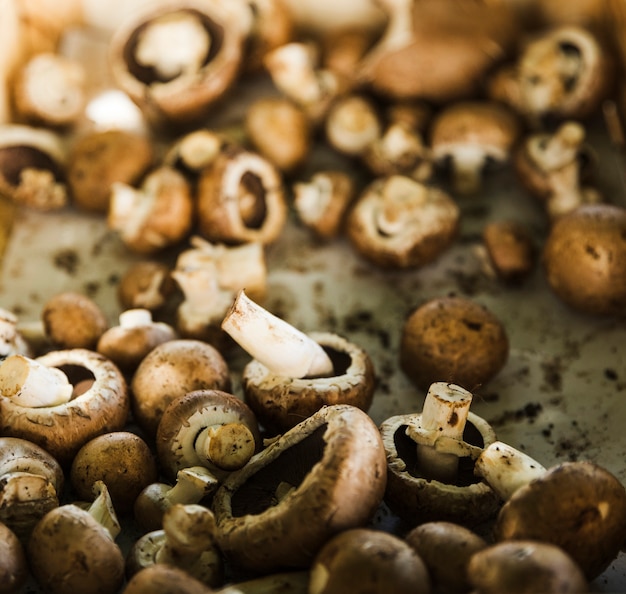 Gros plan, champignon, stalle, marché, vente