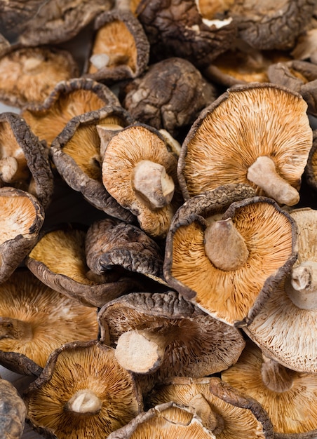 Gros plan de champignons shiitake séchés sur fond de bois