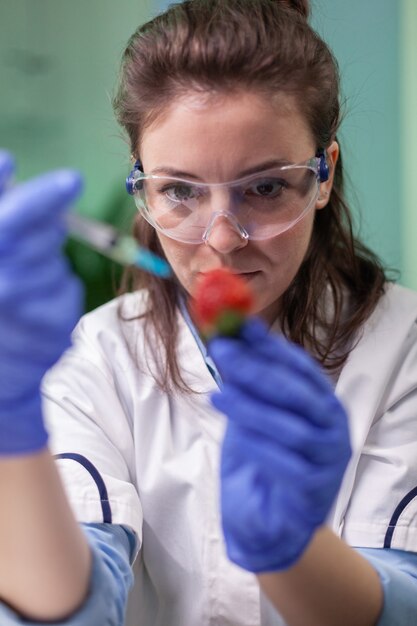 Gros plan d'un chercheur biochimiste injectant une fraise saine avec un liquide d'ADN à l'aide d'une seringue médicale vérifiant le test génétique