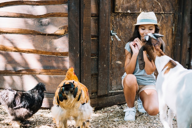 Gros plan, chèvre, poulets, devant, fille