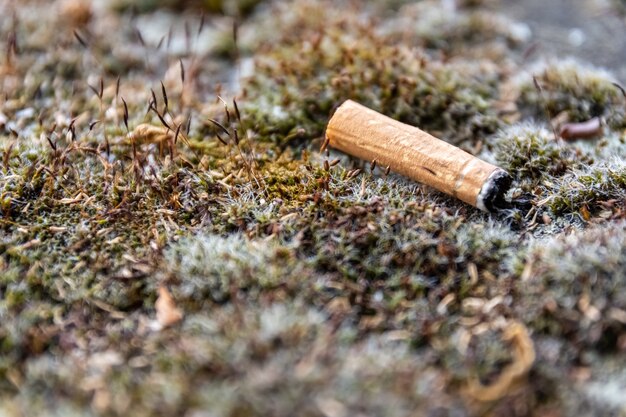 Gros plan d'une cigarette jetée sur le sol en herbe