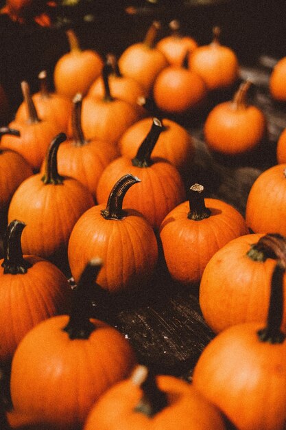 Gros plan de citrouilles orange vif sur une table en bois