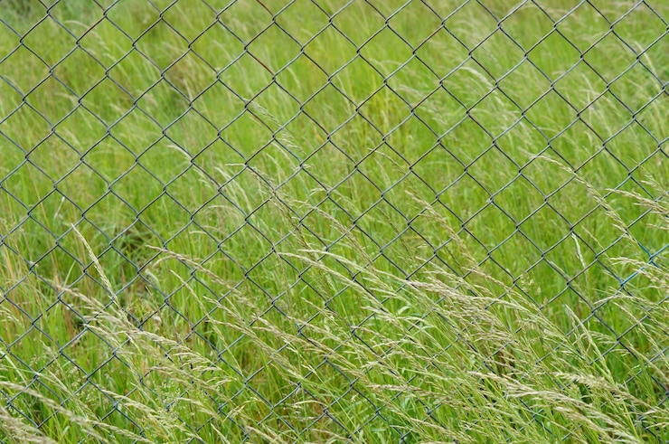 Photo gratuit gros plan d'une clôture métallique dans le domaine plein d'herbes vertes