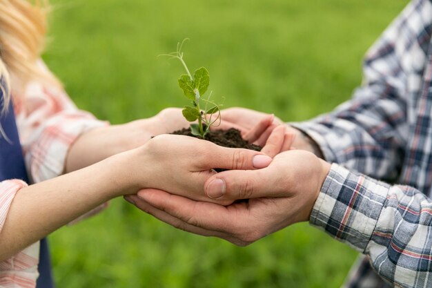 Gros plan, couple, plante