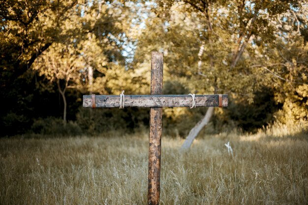 Gros plan d'une croix en bois dans un herbeux