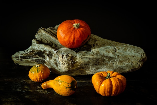 Photo gratuite gros plan de diverses courges