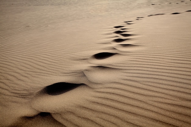 Gros plan du chant du sable dans un désert par une journée ensoleillée