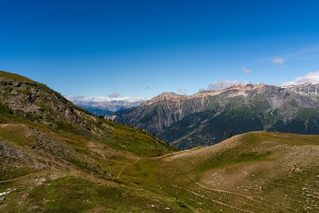 Gros plan du Parc Naturel Grand Del Bosco Di Salbertrand Montagne Italie