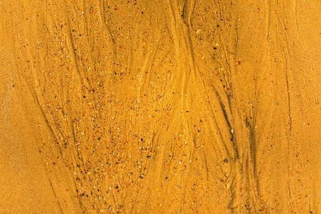 Gros plan du sable avec des voies de marée et des coquillages sur le fond de texture plein cadre