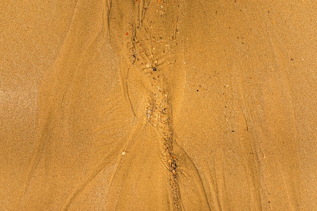 Gros plan du sable avec des voies de marée et des coquillages sur le fond de texture plein cadre