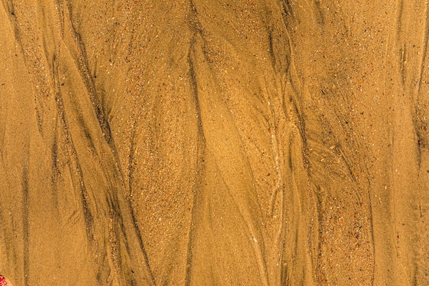 Gros plan du sable avec des voies de marée et des coquillages sur le fond de texture plein cadre