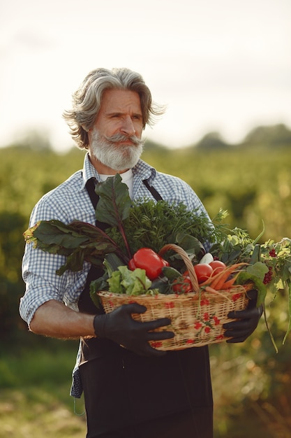 Gros plan du vieux fermier tenant un panier de légumes. L'homme est debout dans le jardin. Senior dans un tablier noir.