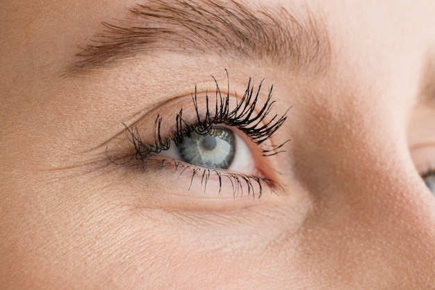 Gros plan du visage de la belle jeune femme caucasienne, se concentrer sur les yeux. Émotions humaines, expression faciale, cosmétologie, concept de soins du corps et de la peau