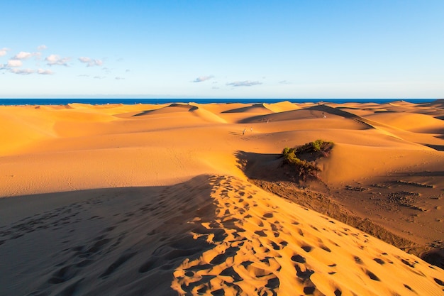 Gros plan des dunes de Maspalomas sur l'île de Gran Canaria