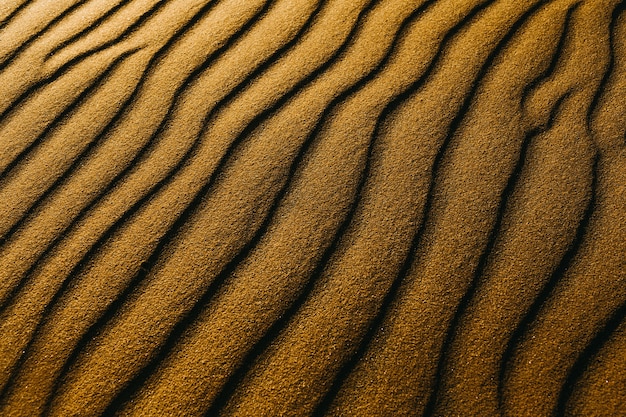 Gros plan de dunes de sable sur une plage