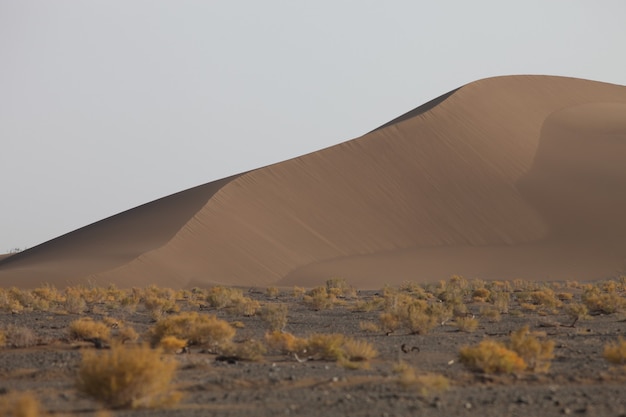 Gros plan sur des dunes de sable à Xijiang, Chine