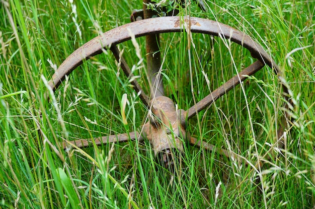 Gros plan de l'équipement rural de roue rouillée dans un champ d'herbe