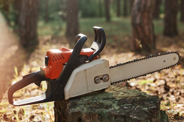 Gros plan extérieur tourné de tronçonneuse sur souche en bois