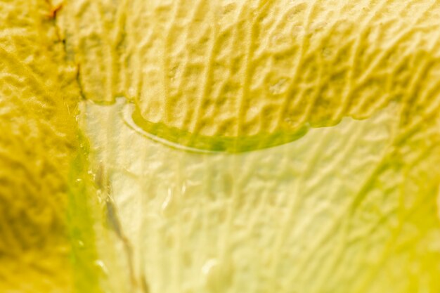 Gros plan extrême sur le pétale jaune dans l'eau