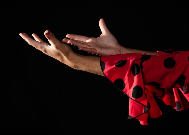 Photo gratuite gros plan, femme flamenca, projection, mains