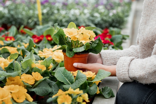 Gros plan, femme, fleur, pot