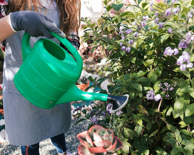 Gros plan de femme jardinier arroser les plantes avec arrosoir