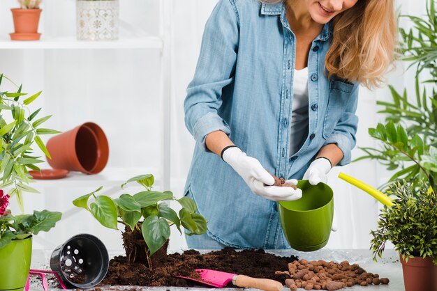 Gros plan, femme, planter, fleurs