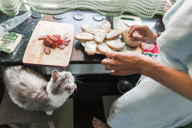 Gros plan, femme, préparer, toast, sandwichs fromage