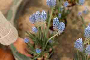 Photo gratuite gros plan, femme, tenue, bleu, fleurs