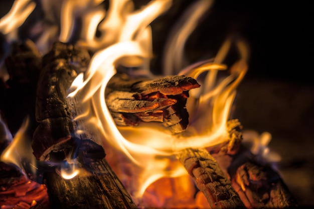 Gros plan d'un feu de camp avec du bois brûlant et une flamme nue la nuit
