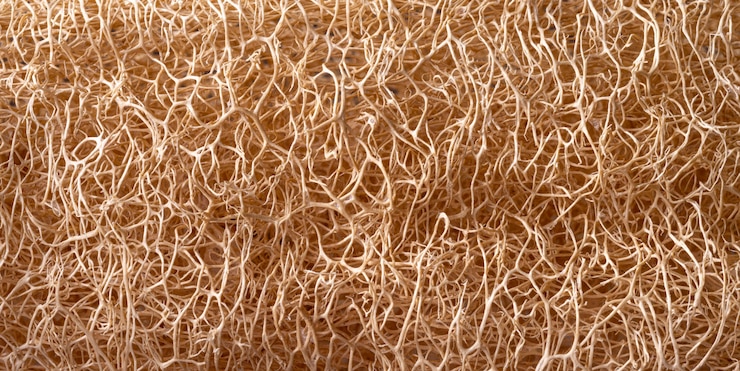 Photo gratuit gros plan des fibres