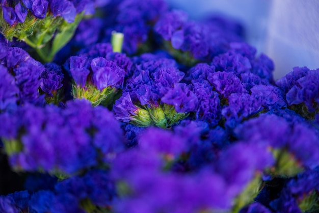 Photo gratuite gros plan de fleur de statice fond texturé