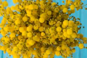 Photo gratuite gros plan de fleurs jaunes