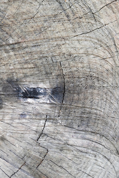 Gros plan de fond de texture bois