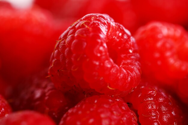 Gros plan de framboise rouge