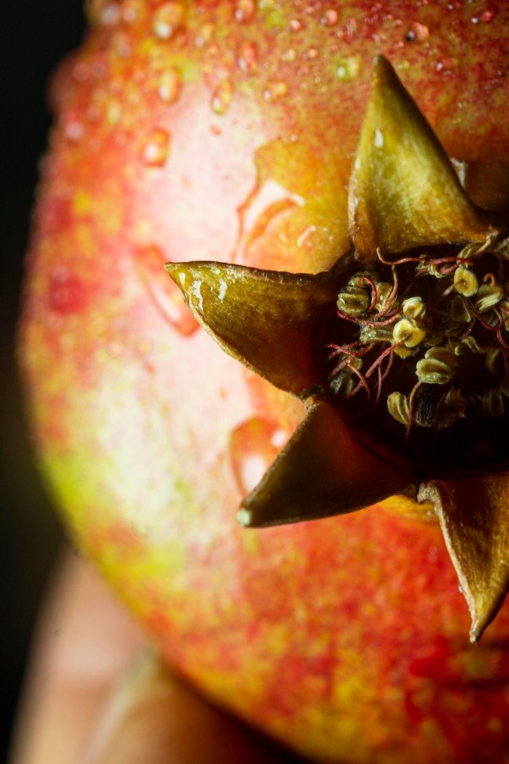 Photo gratuit gros plan de fruits de grenade avec des gouttelettes d'eau