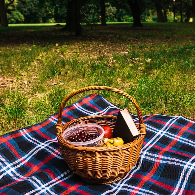 Gros plan, de, fruits, et, livre, dans, les, panier osier, sur, couverture