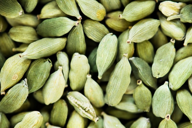 Gros plan de graines de citrouille