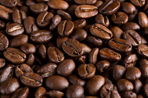 Gros plan des grains de café bio frais