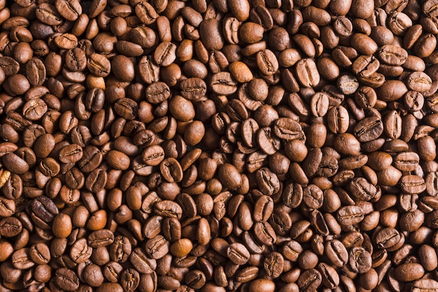 Gros plan, grains de café torréfiés