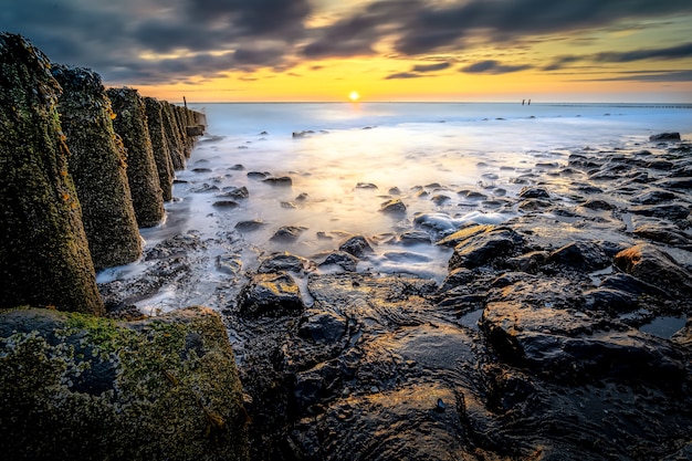 Photo gratuite gros plan grand angle de bois avec de la mousse sur le dessus dans un rivage menant à la mer au coucher du soleil