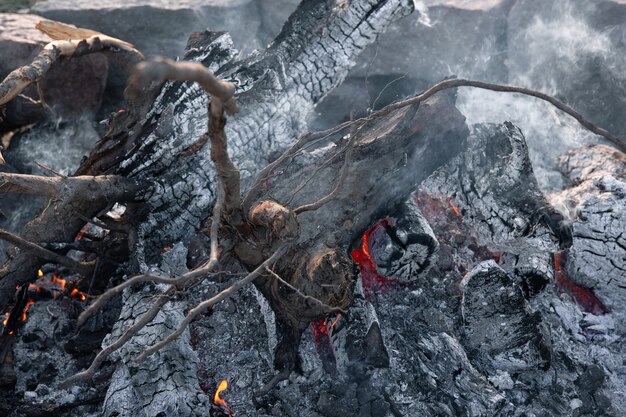 Gros plan des grosses bûches d'un arbre dans un feu mourant