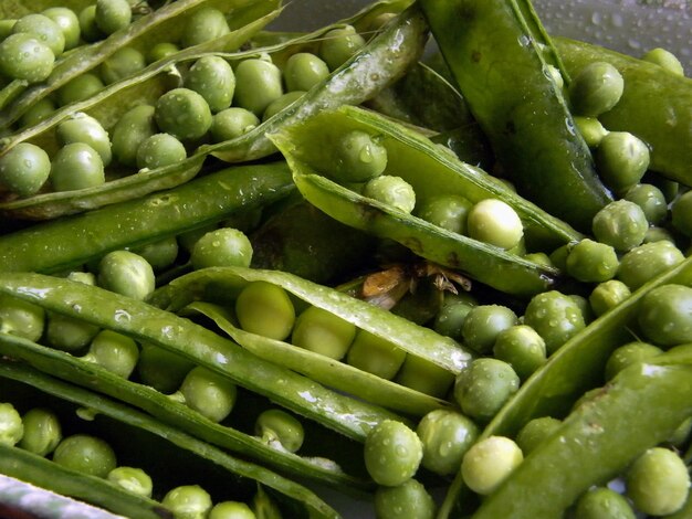 Gros plan de haricot vert