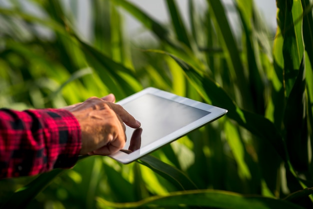 Gros plan homme à l'aide d'une tablette dans un champ