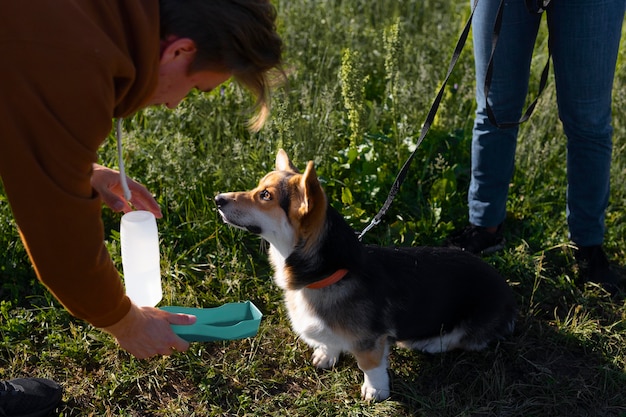 Gros plan homme donnant de l'eau au chien