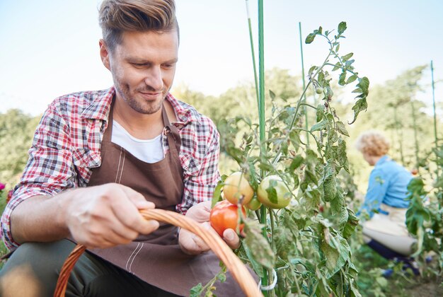 Gros plan sur l'homme prenant soin de son jardin